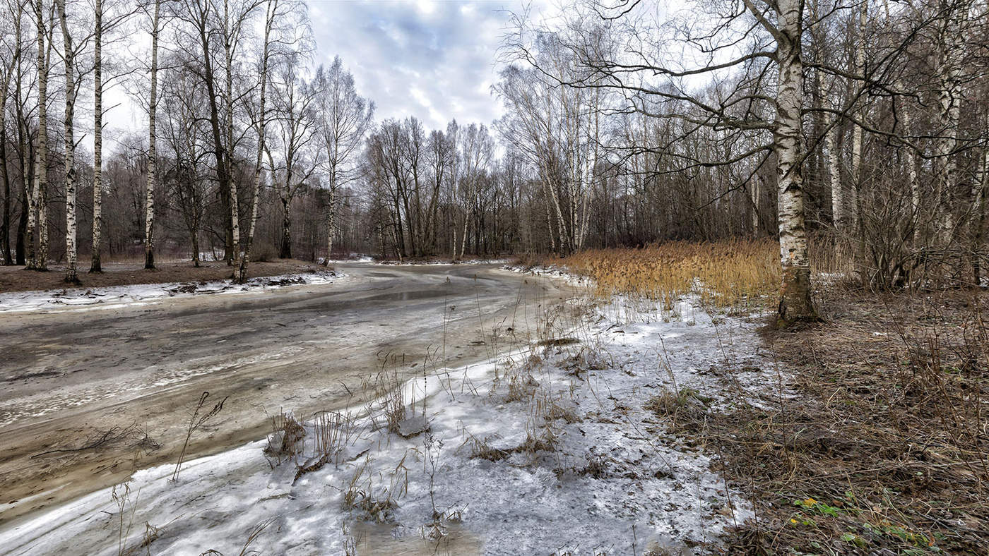 Среди берёзок средней полосы.....