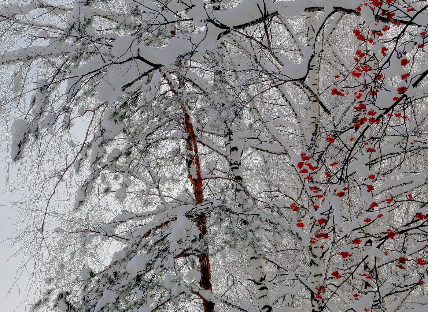 Зимний этюд