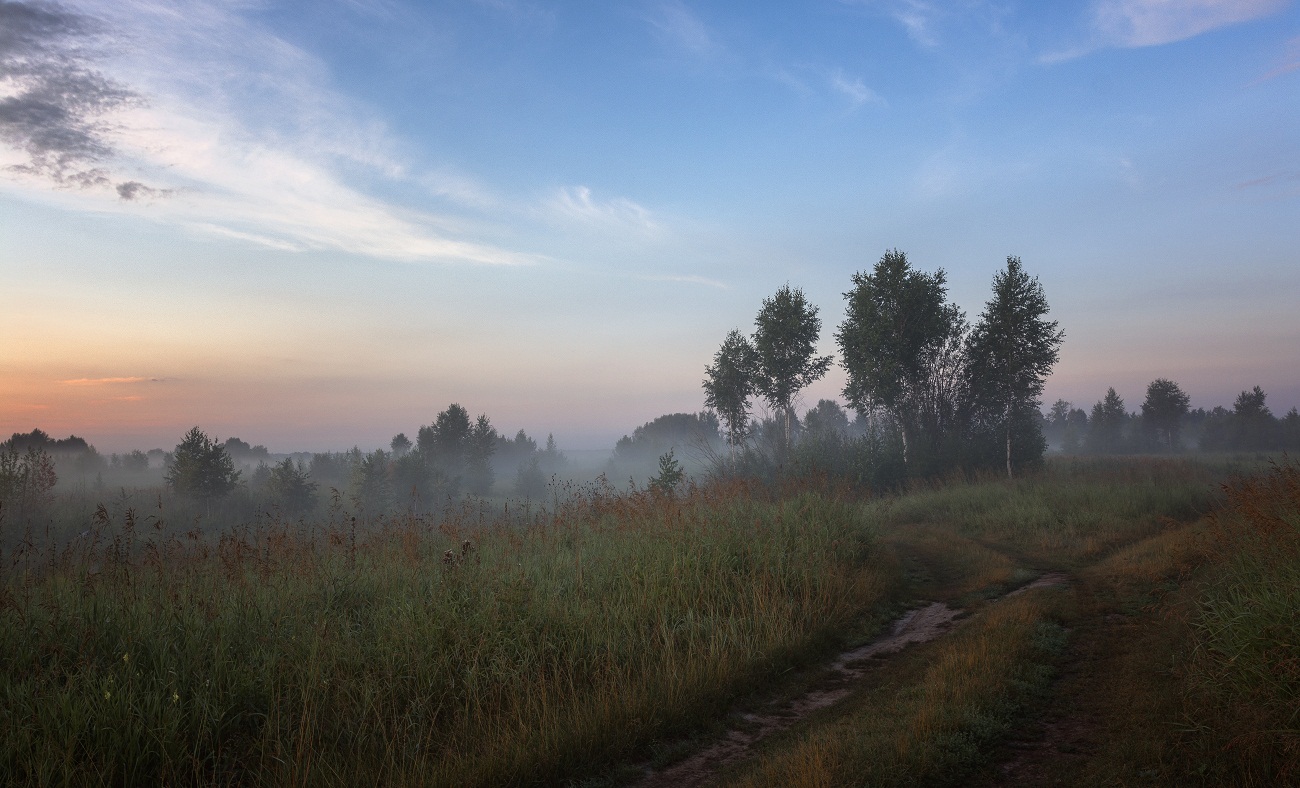 Летнее утро.