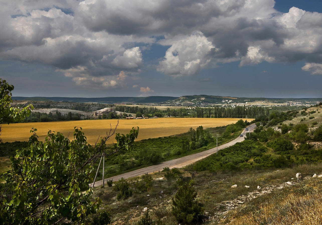 Поле , крымское поле.