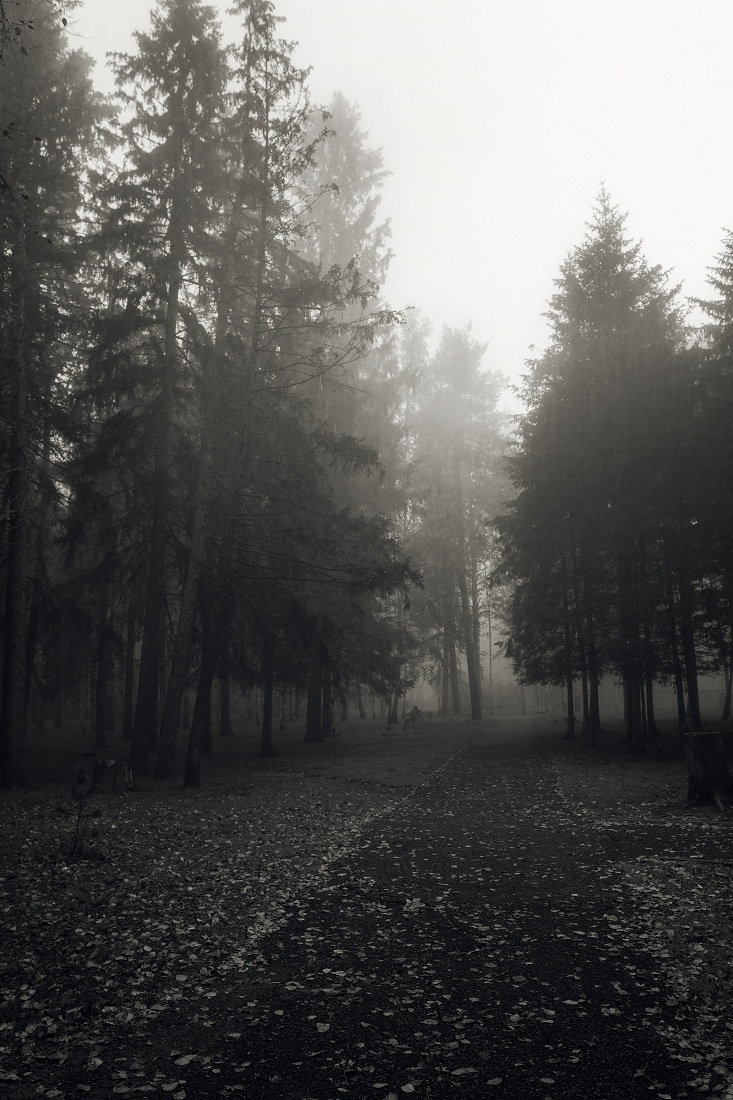 Дождивая осень.