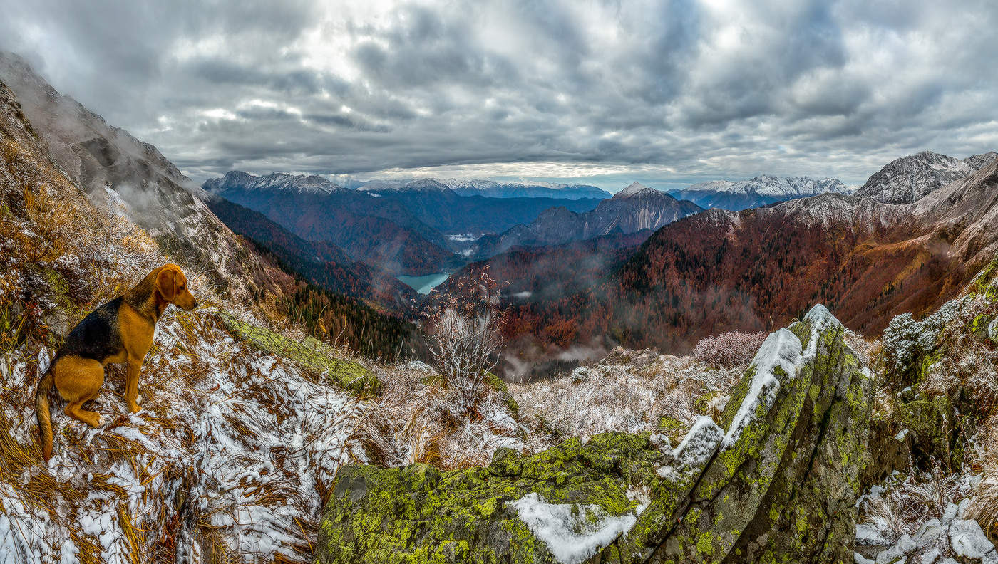 Наблюдатель