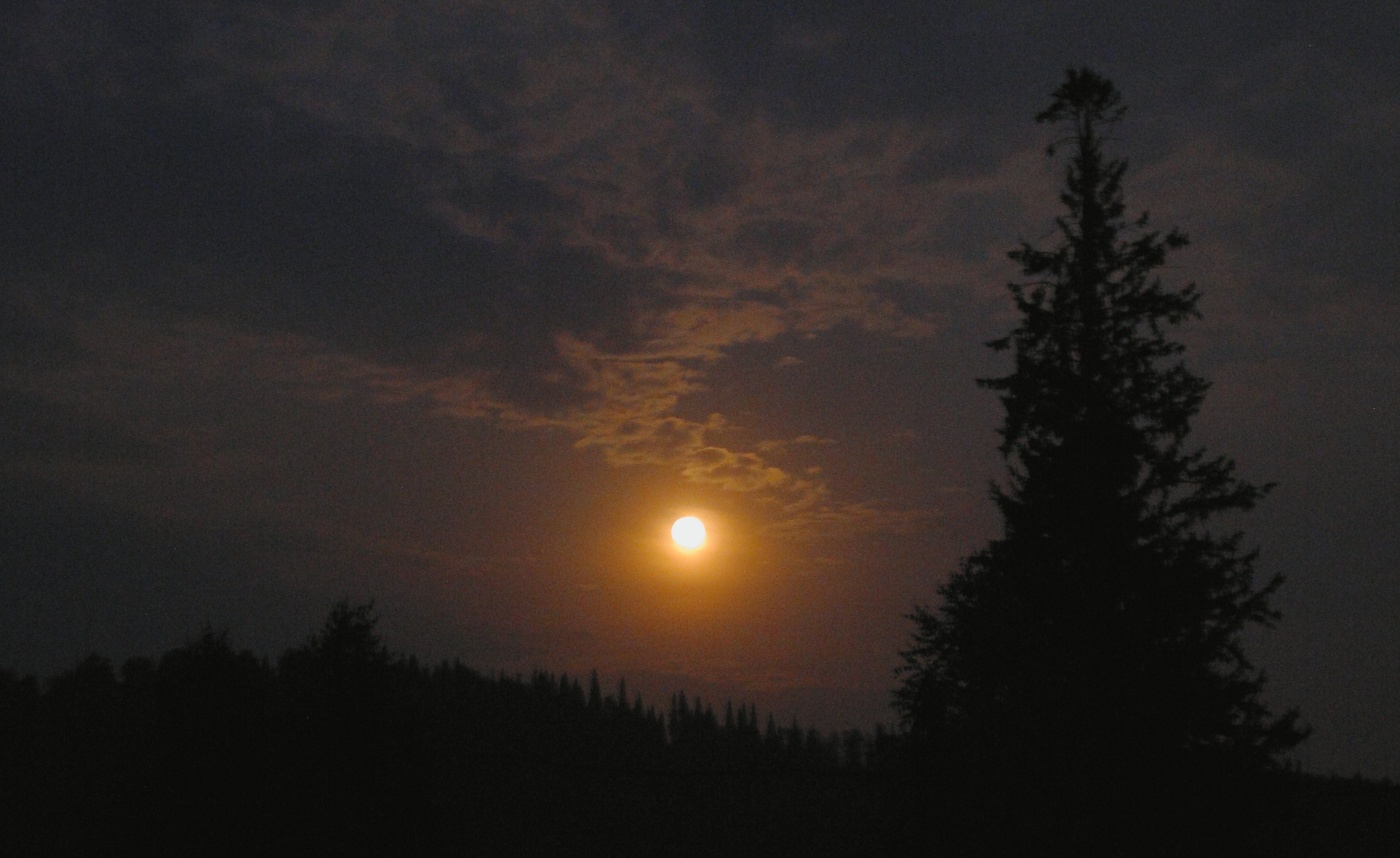 Луна над тайгой