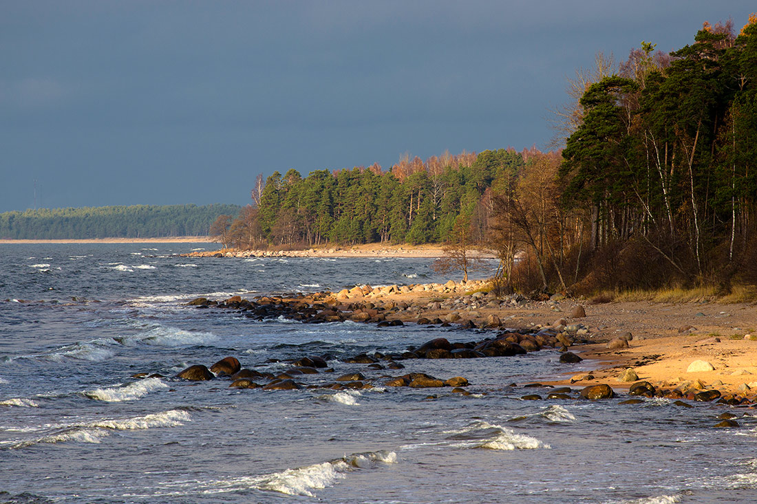 Береговая линия