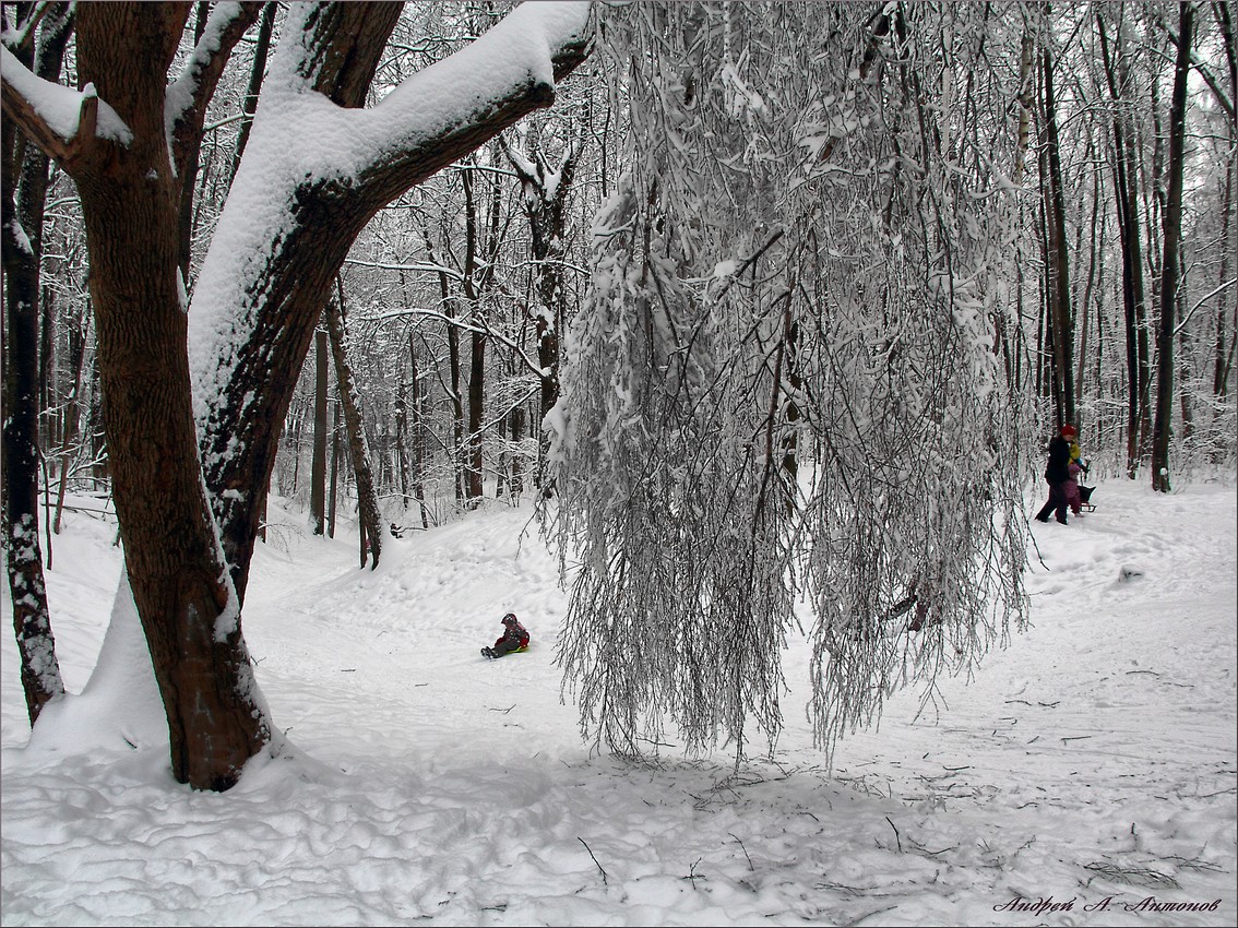 Маленький человек