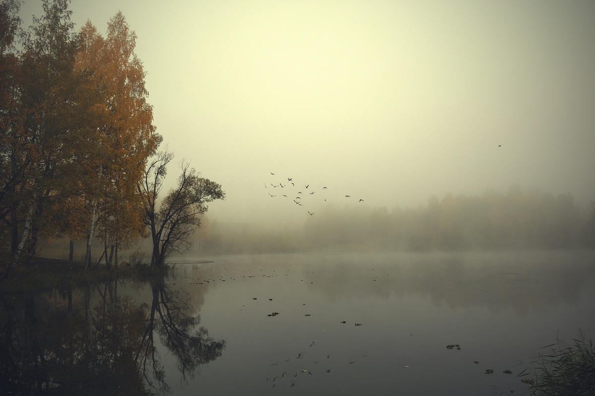 Осенний полет.