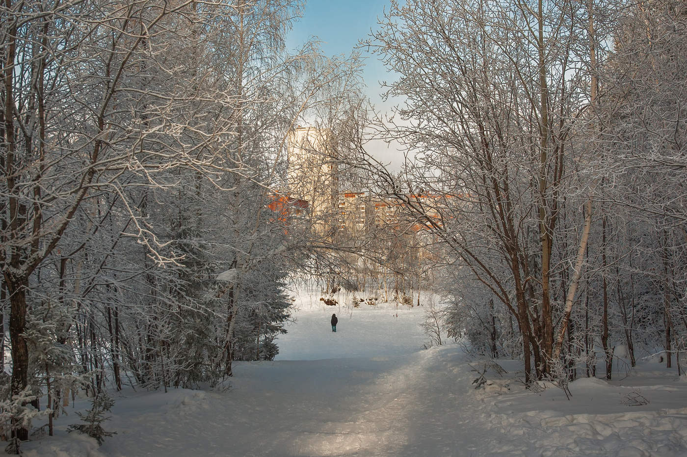 Холодный полдень