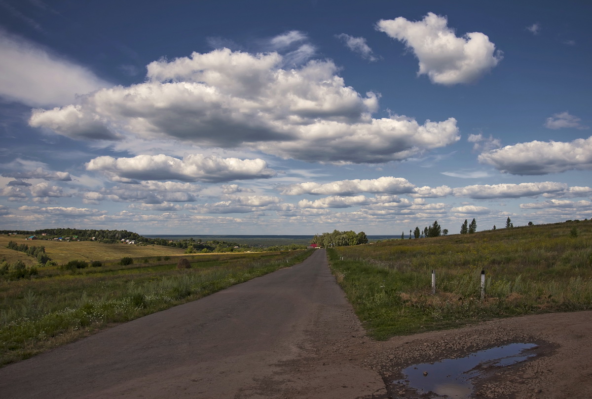 Проплывая над лужей