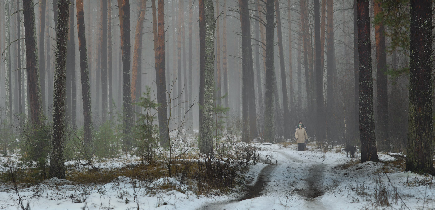 Вечерний моцион