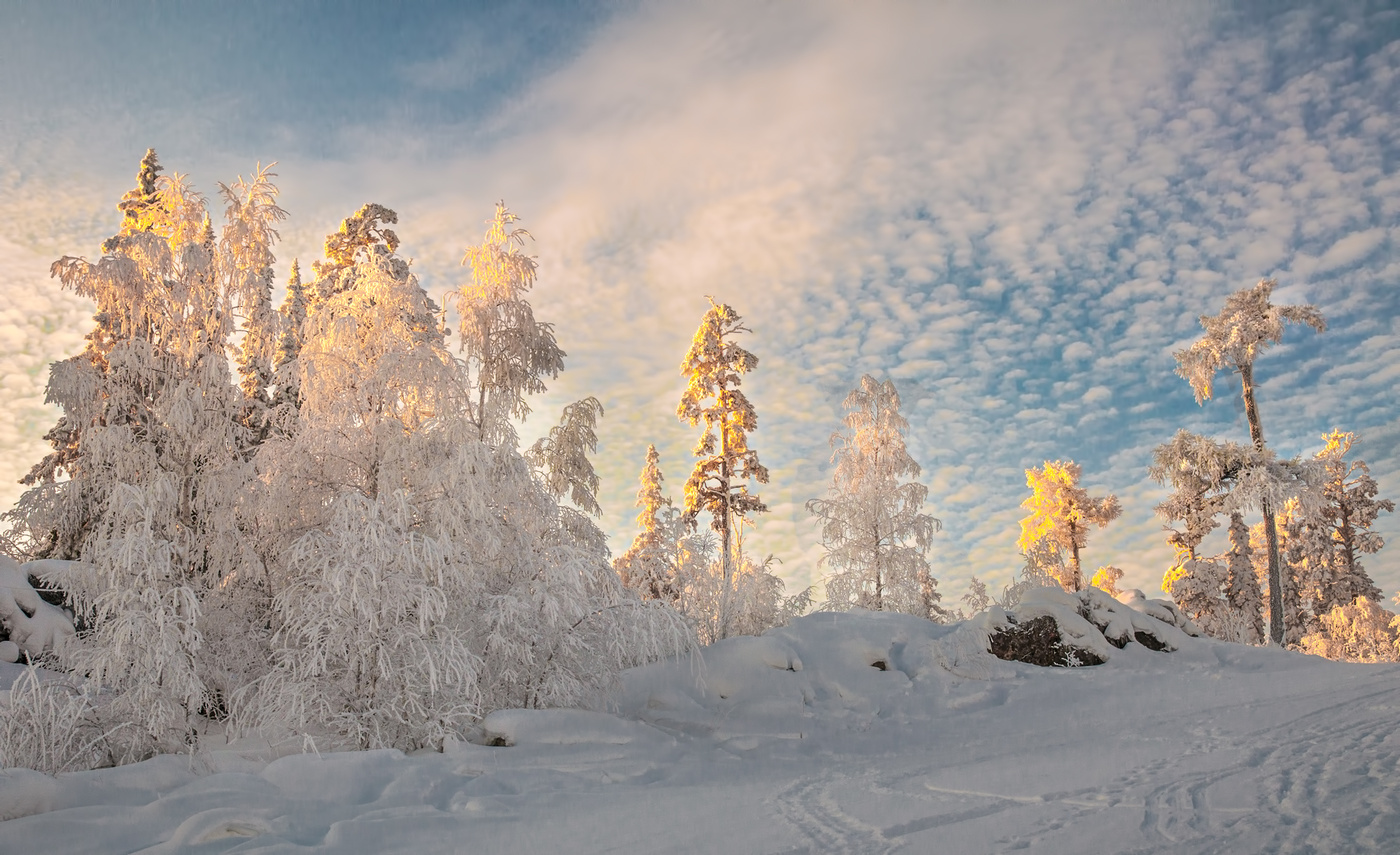 Нежный свет