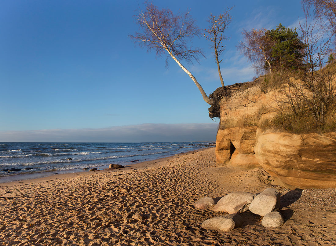 Стремление жить