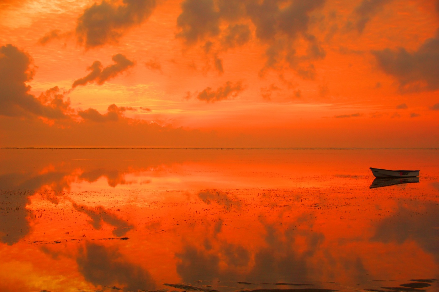 Тревожное утро