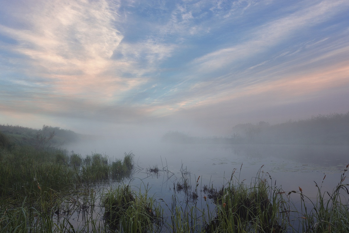 Утренний ветер.
