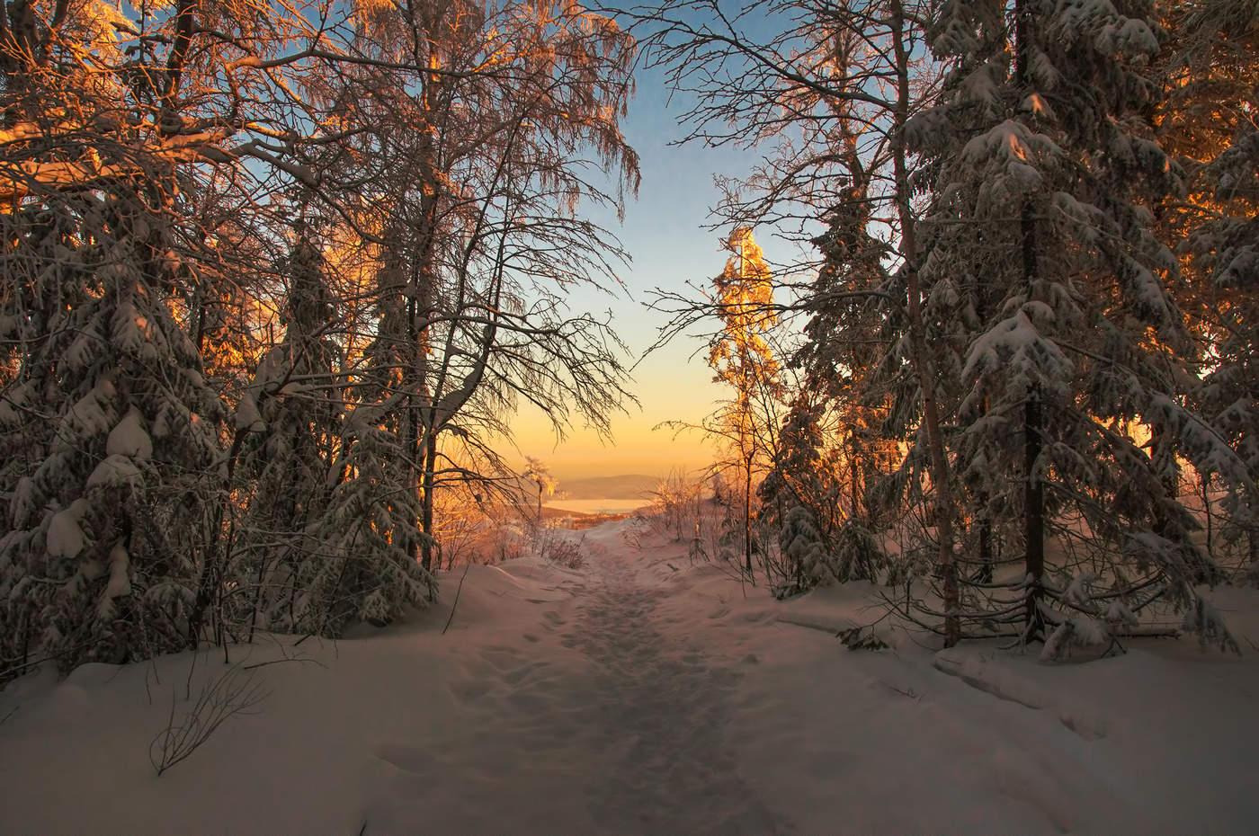 Путь к свету
