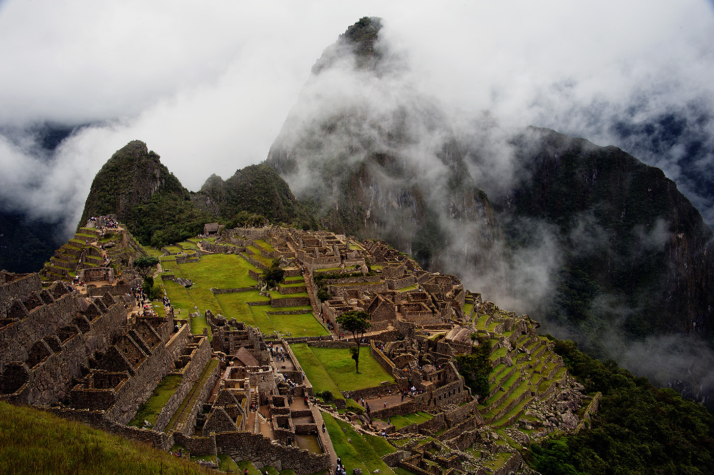 Муравейник осветило солнцем