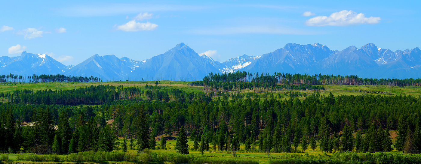 В зеленом ожерелье