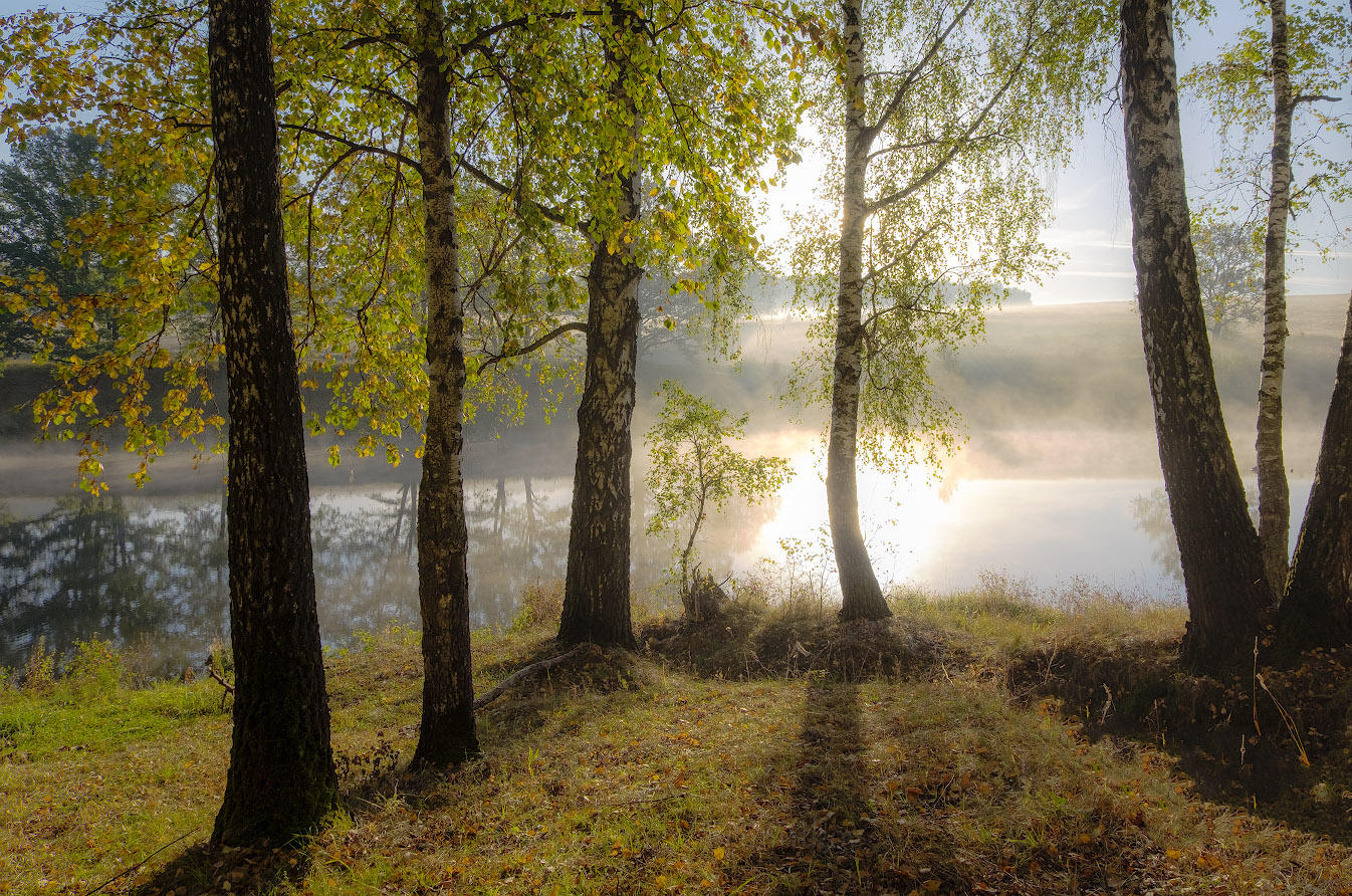 Рассвет,туман