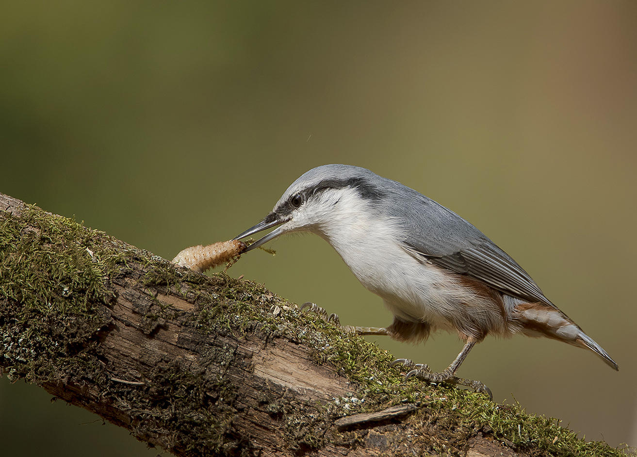 Знатный обед