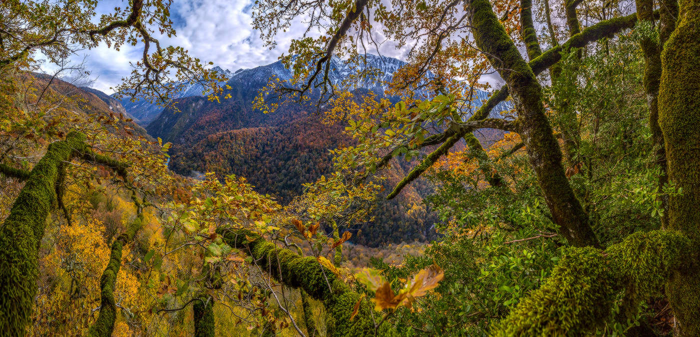 Вид из леса.