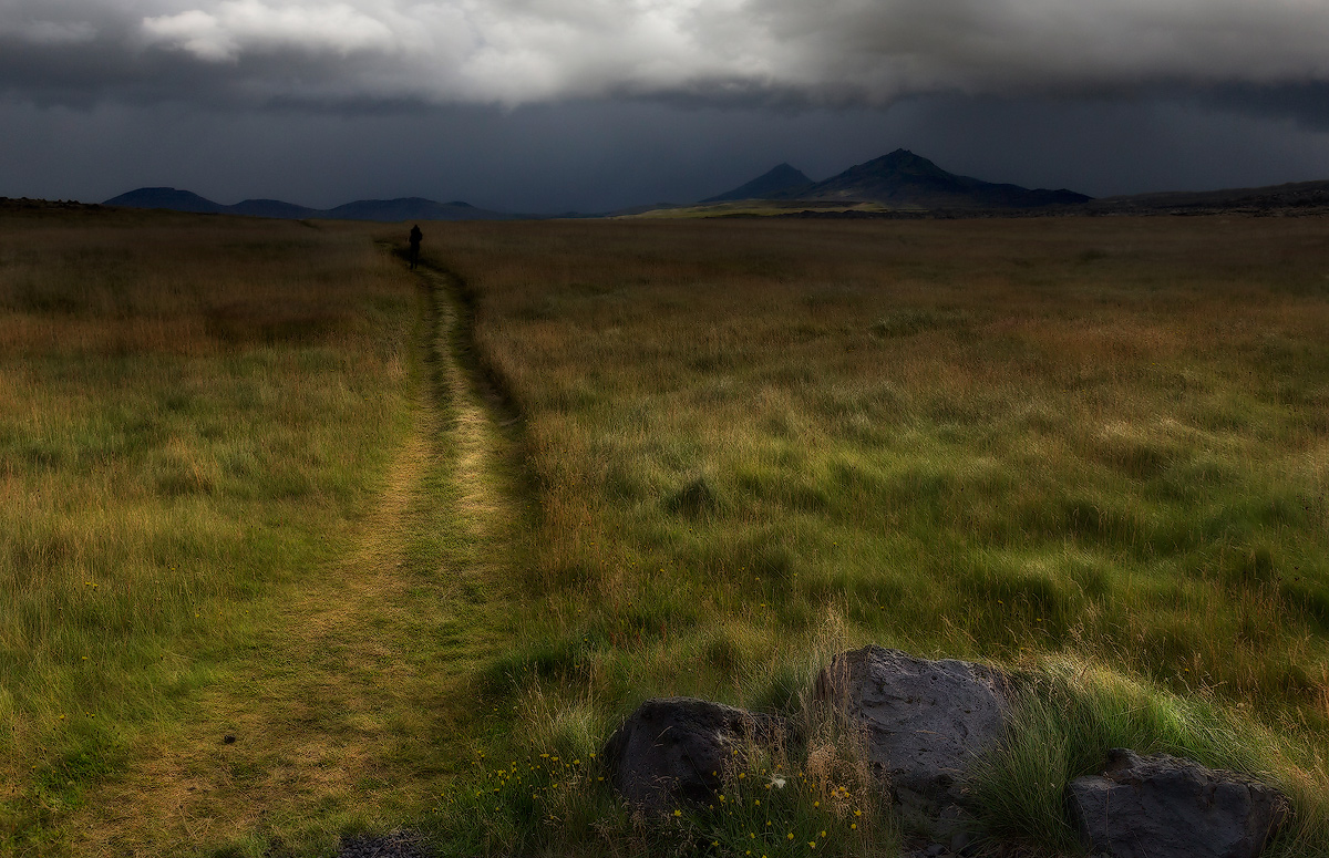 перед грозой...