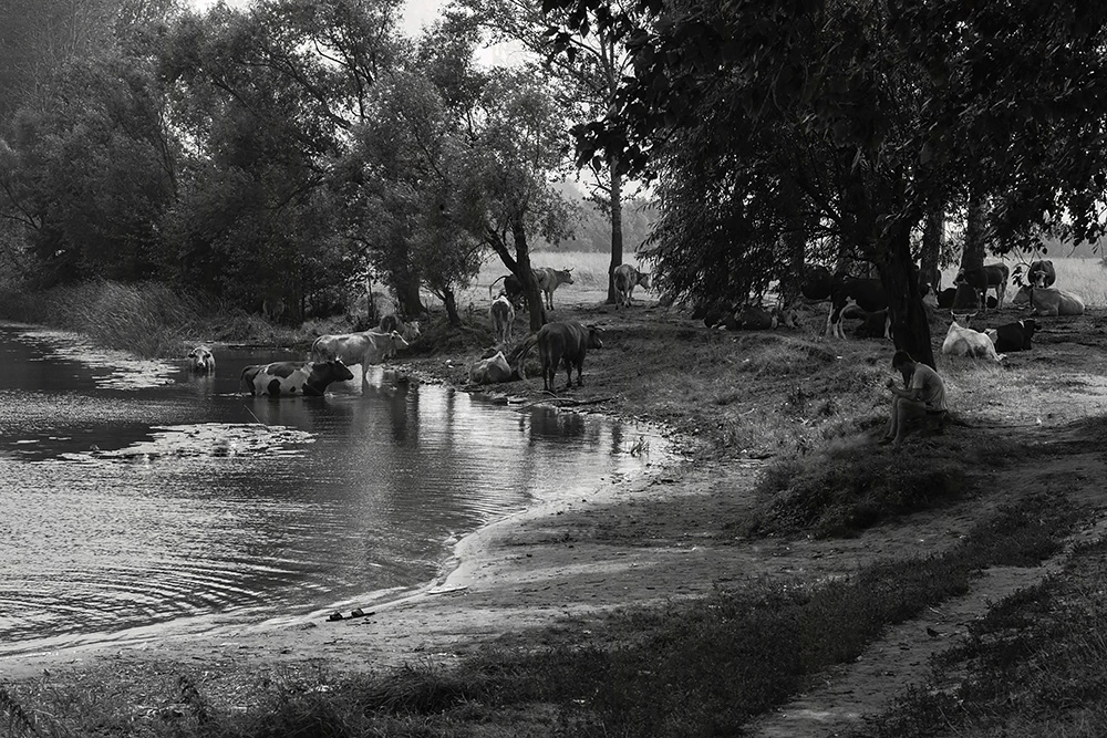 Пастушество...