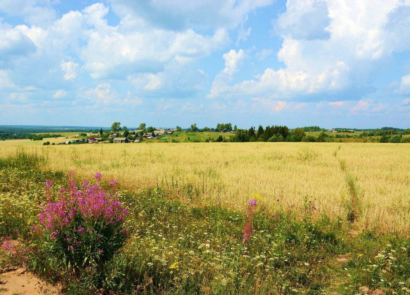 Тропинка домой ...
