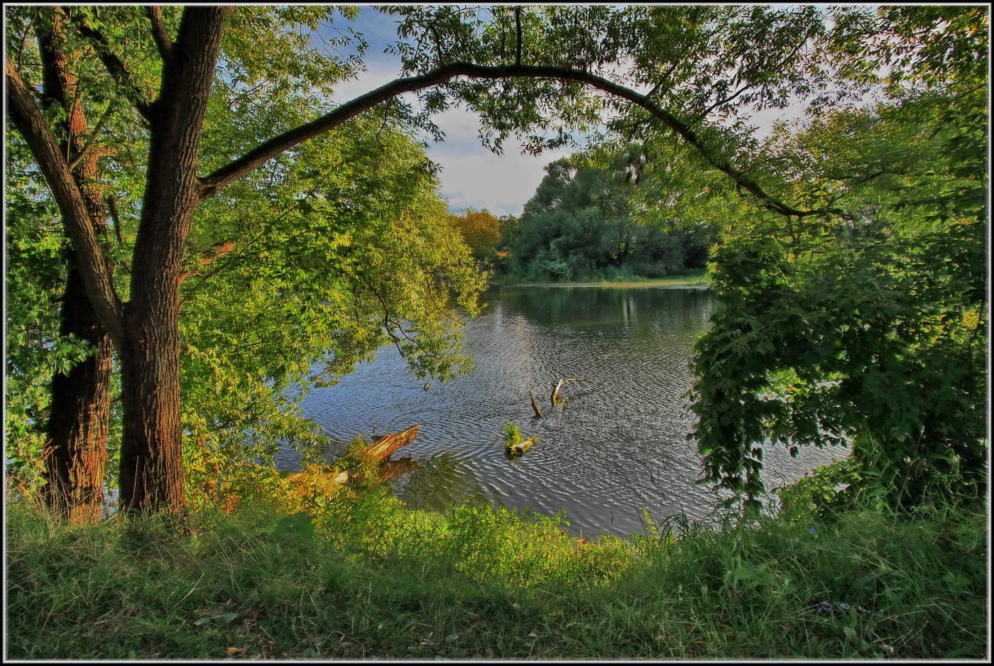 берега реки Нара