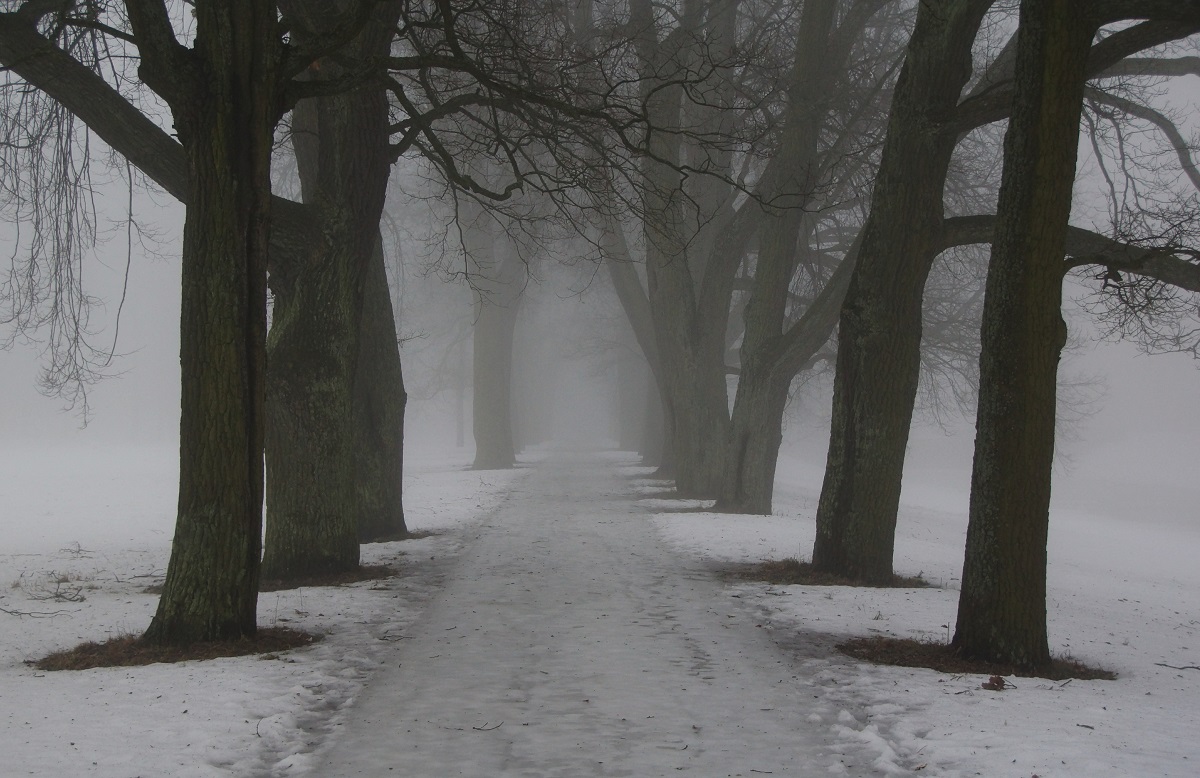 Такая зима...