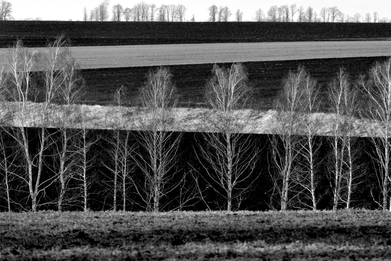 Перекати-поле