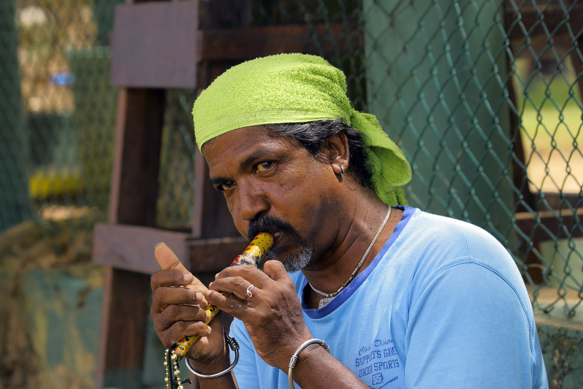 Заклинатель змей