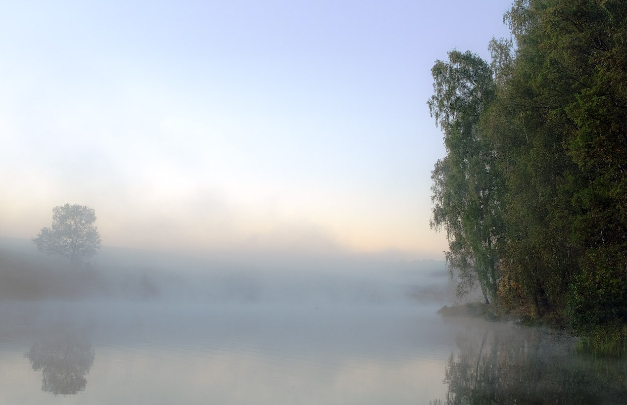 Рассвет,туман