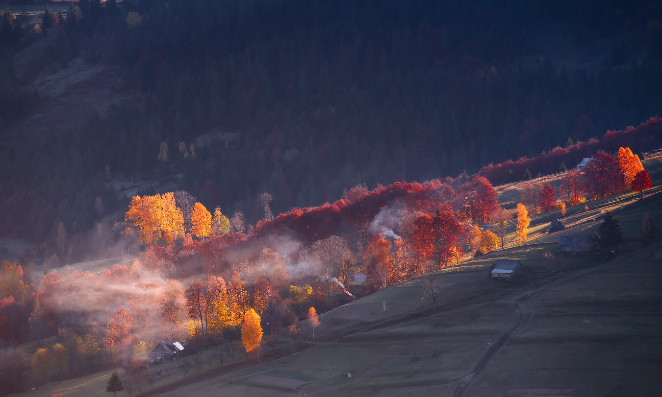 Начинался новый день