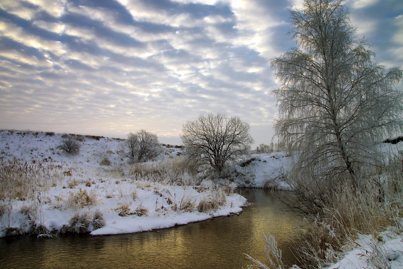 Рассвет,туман