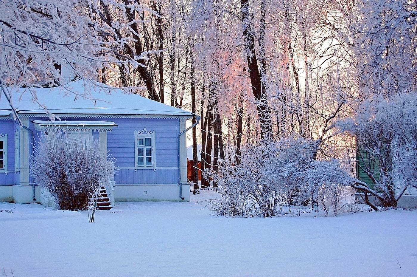 Новогоднее чудо