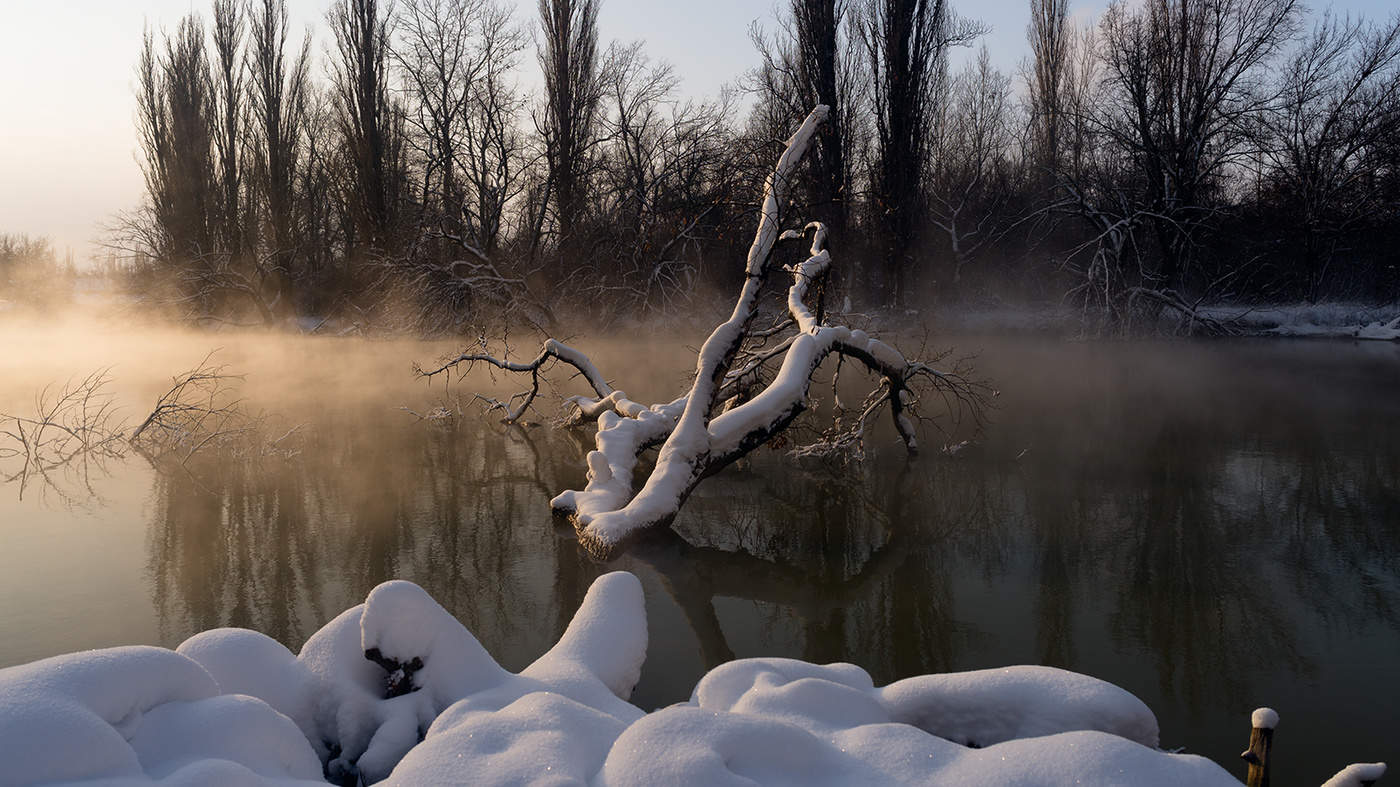 Утро первого января