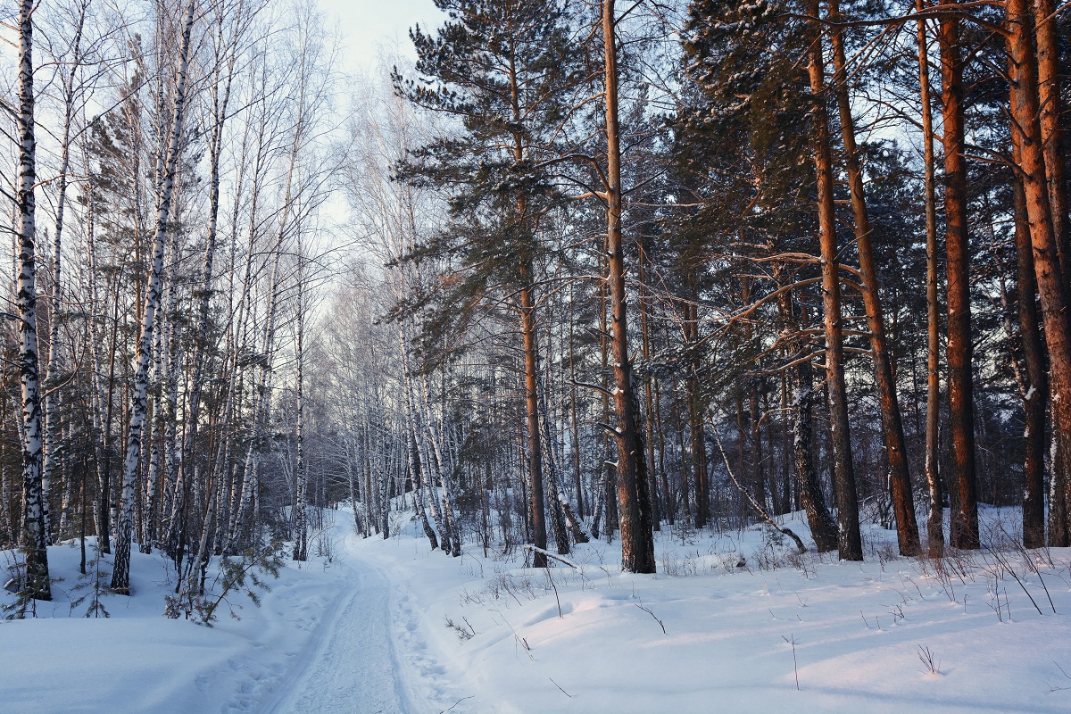 Холодным утром.