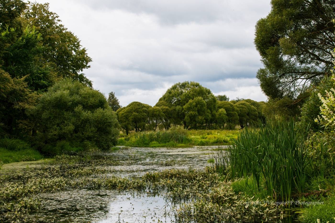 Вяземский пейзаж