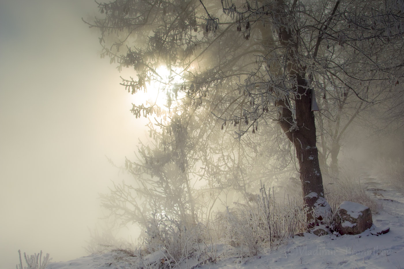 Рассвет,туман