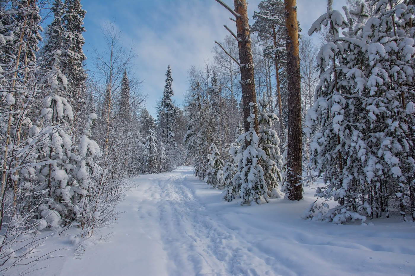 Голубая зима