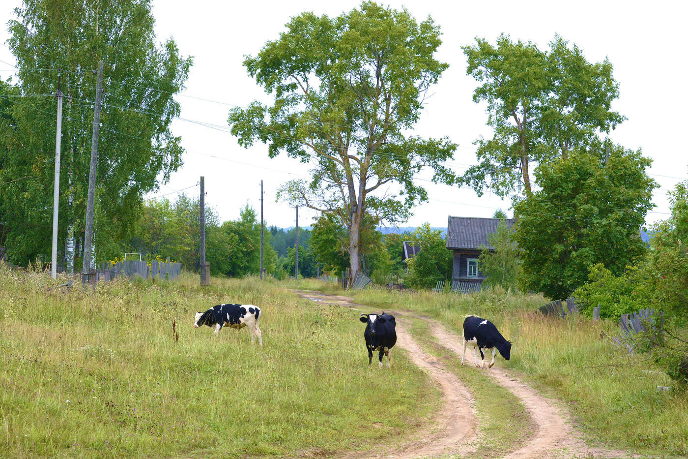 "В деревню, в глушь, в Саратов, к тетке..."