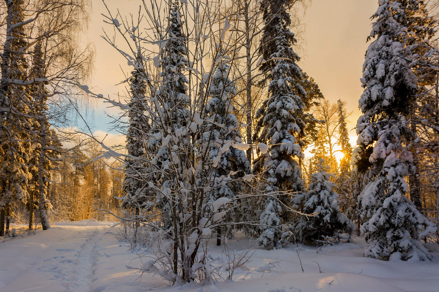 Январский полдень