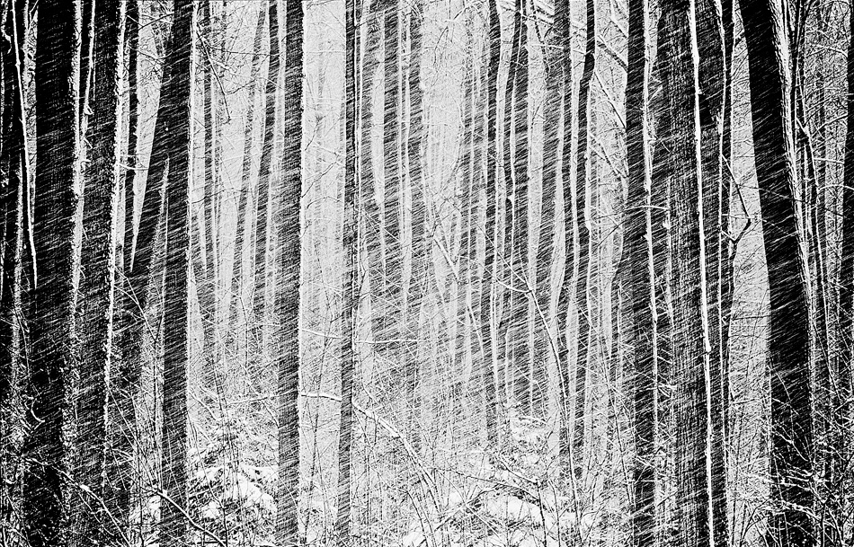 Зимняя графика