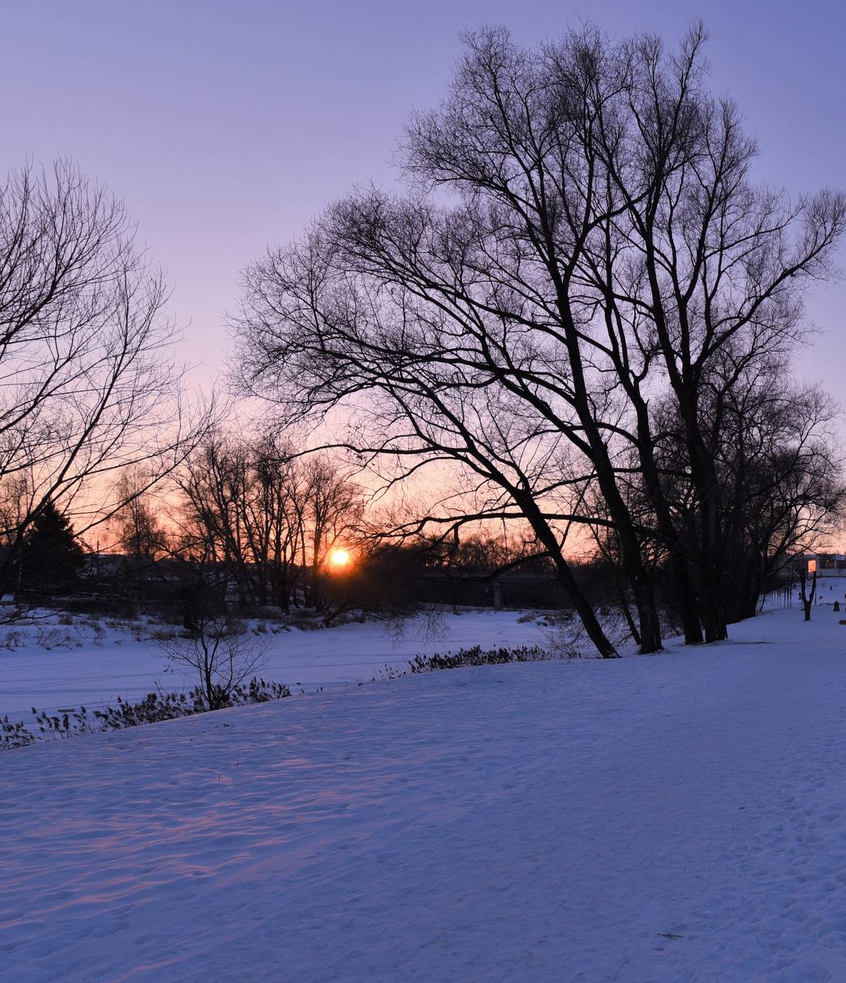"Задымился вечер, дремлет кот на брусе ..."