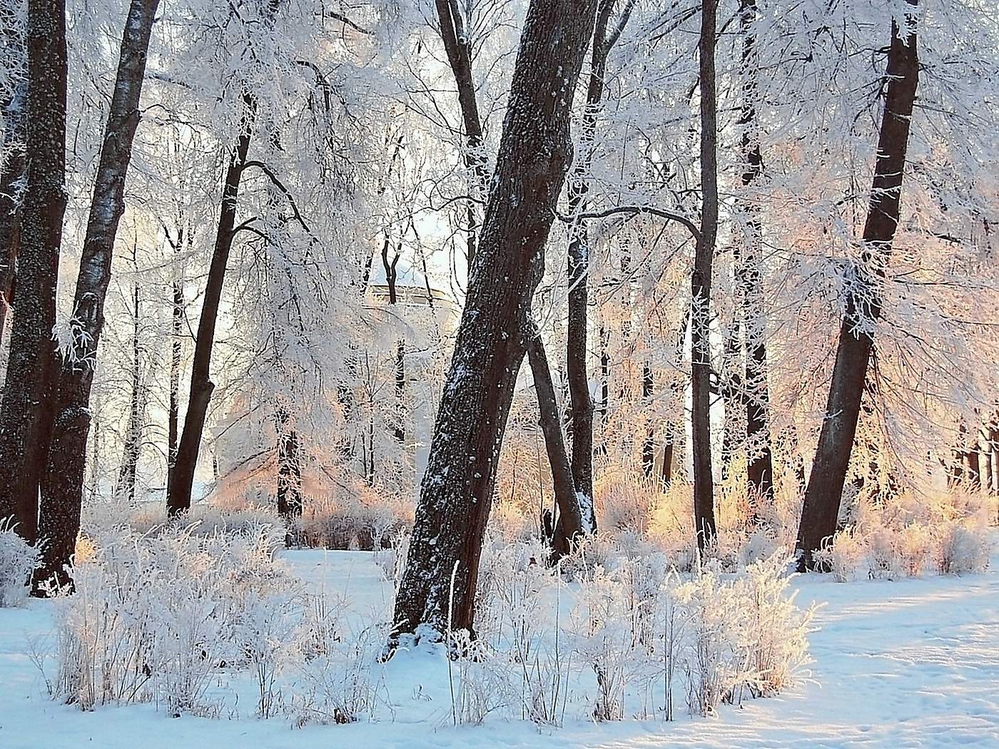 Рождественское украшение