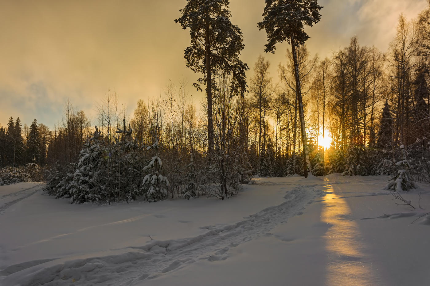 Вечерний луч