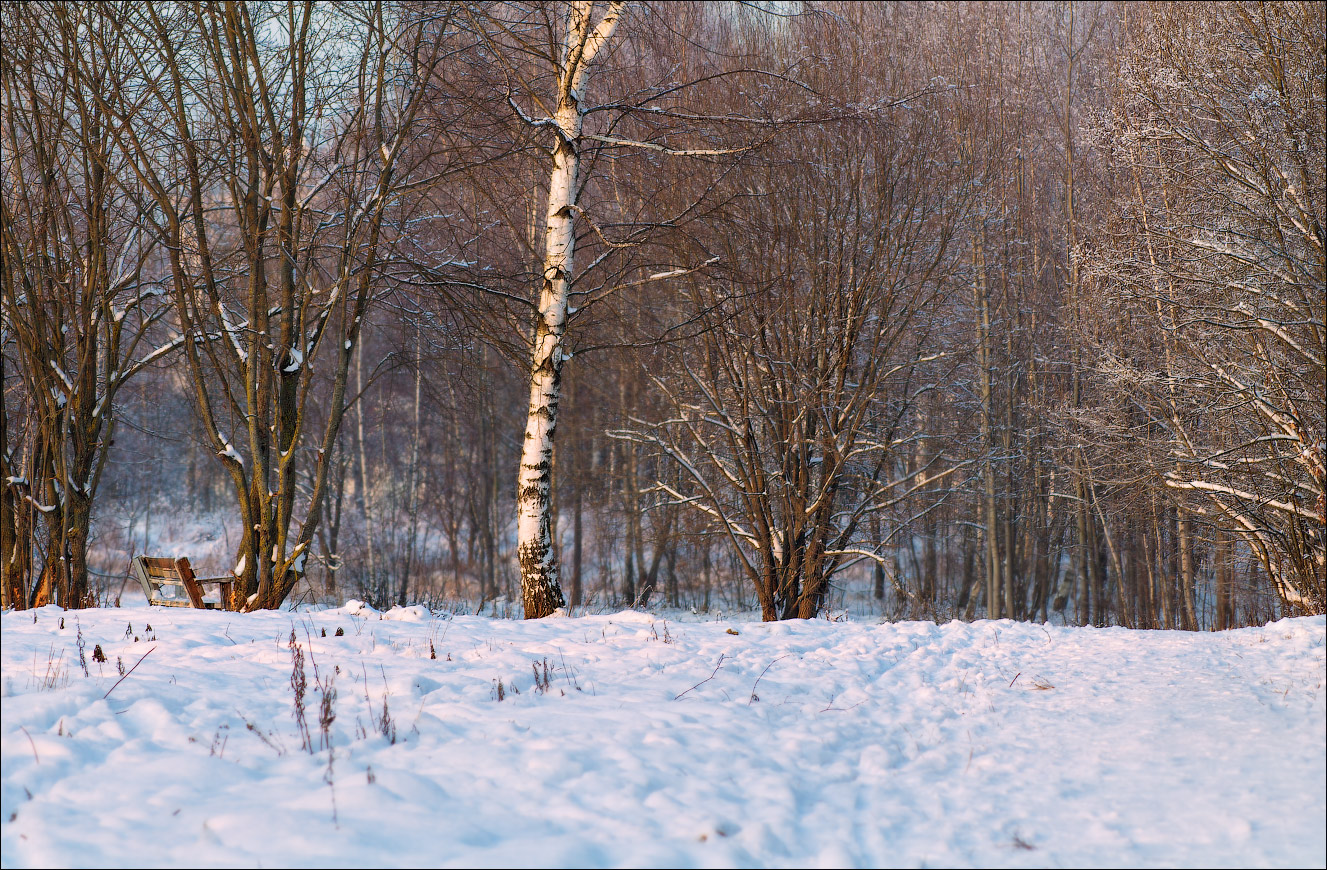 Вечерело перед Рождеством