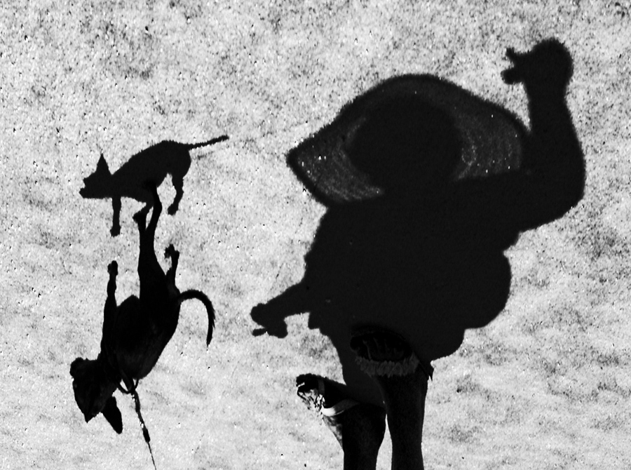 Дама с собачкой