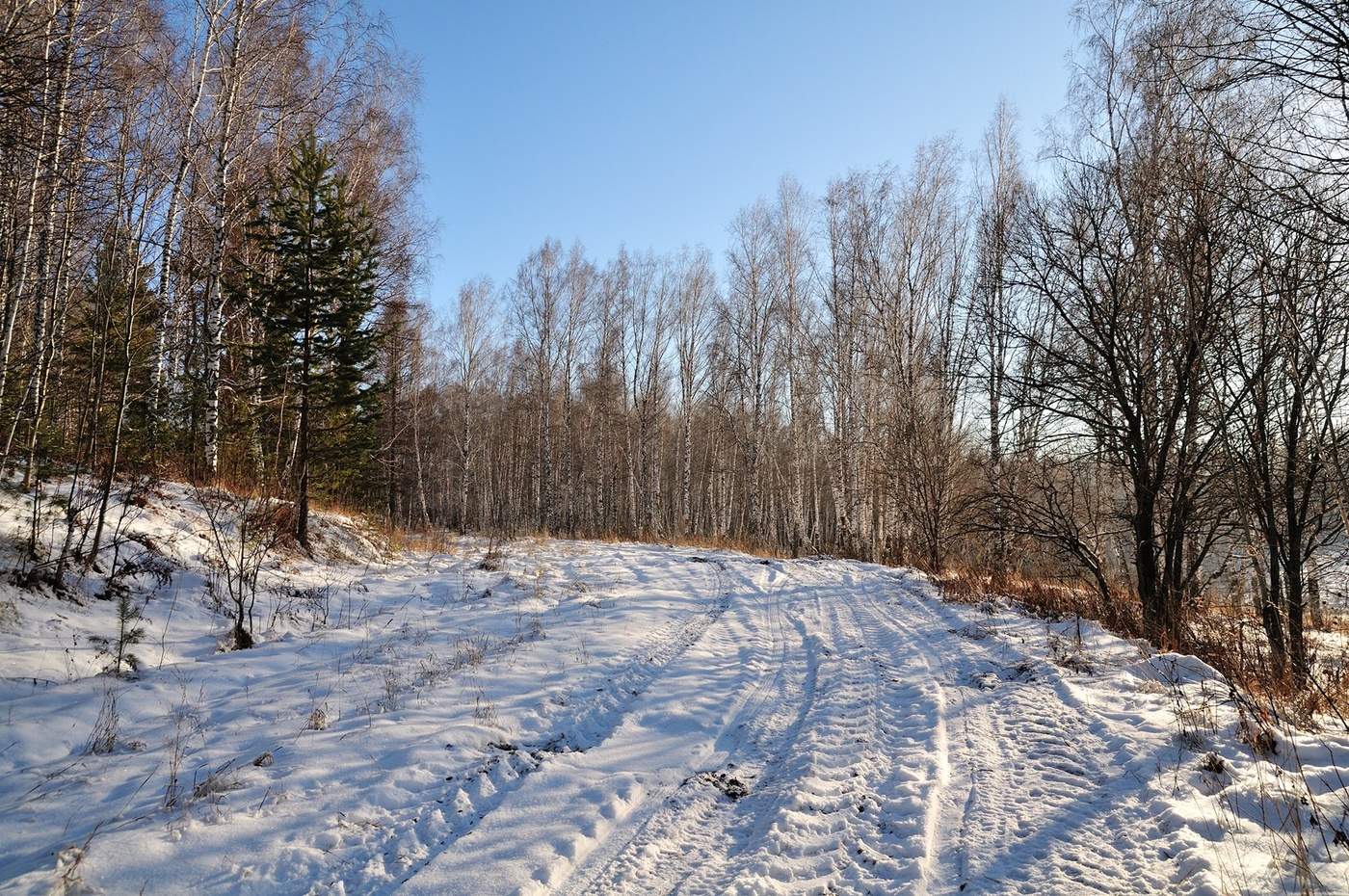 Зимняя зарисовка.