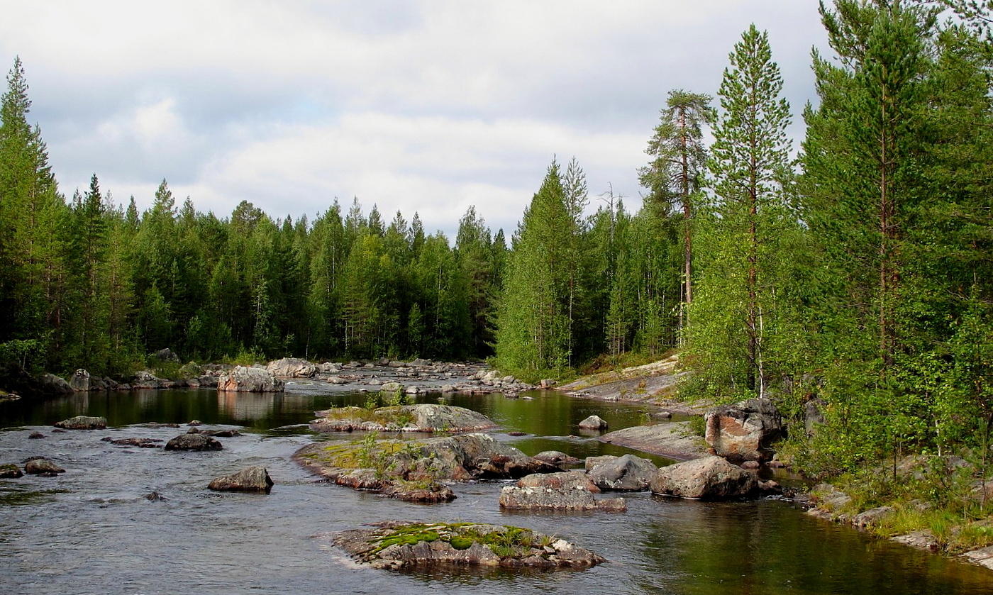 Скоро осень, за окнами август...