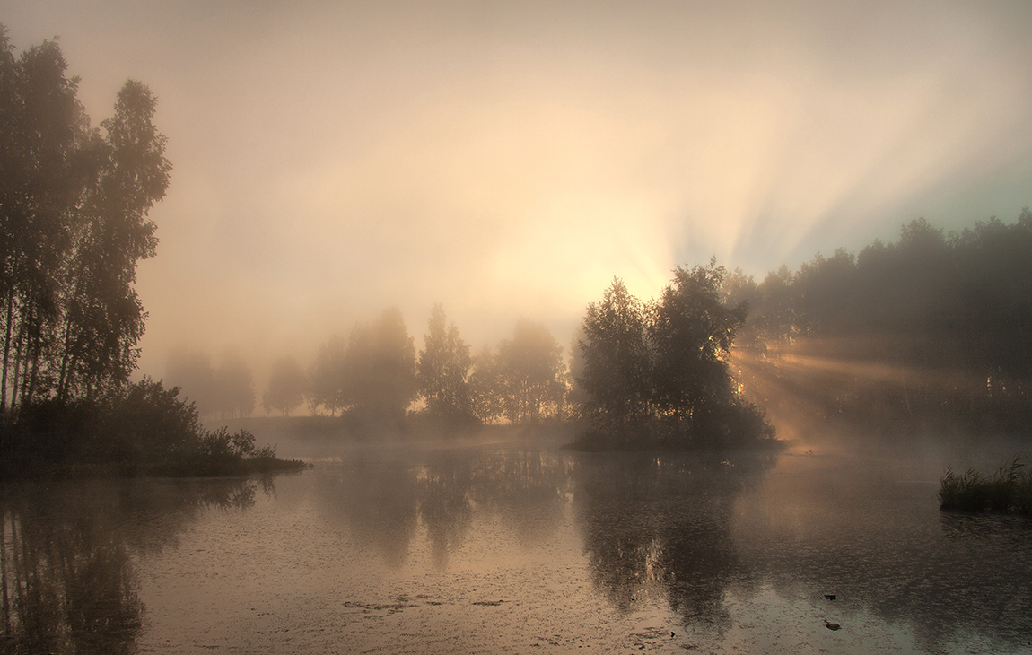 любимое болото